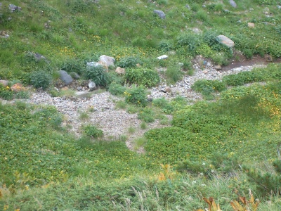 38枚目 Tateyama-Kurobe-Alpine-Route_38.jpg